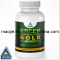 Green Coffee Bean Extract Gold for Weight Loss Supplement